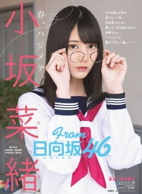 一区视频网站_完整版高清下载