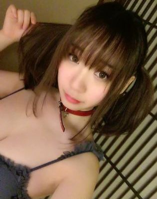 汪汪队队第四季全集免费观看_国语版全集